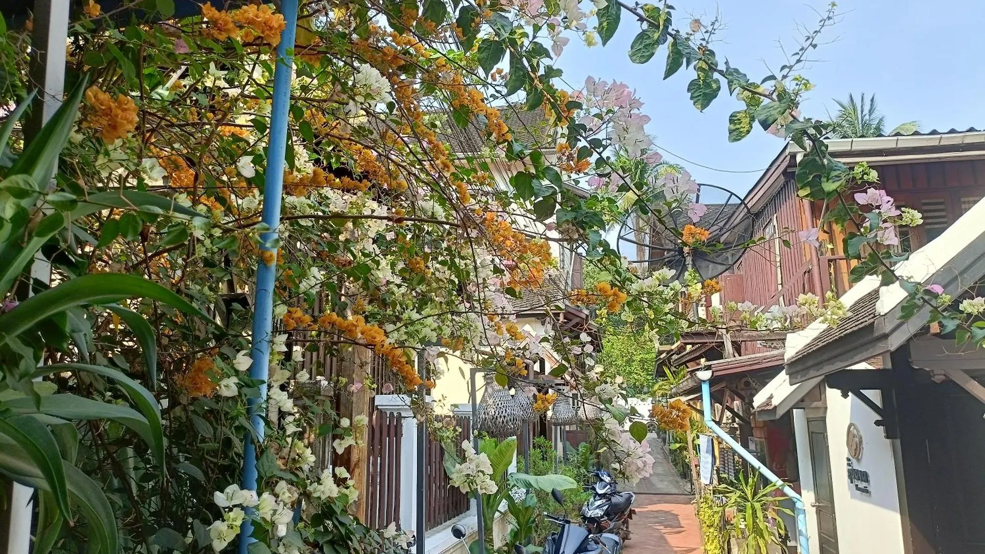 City Backpackers Luangprabang